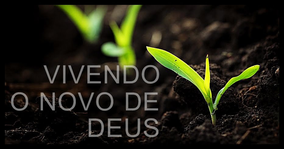 vivendo-o-novo-de-deus