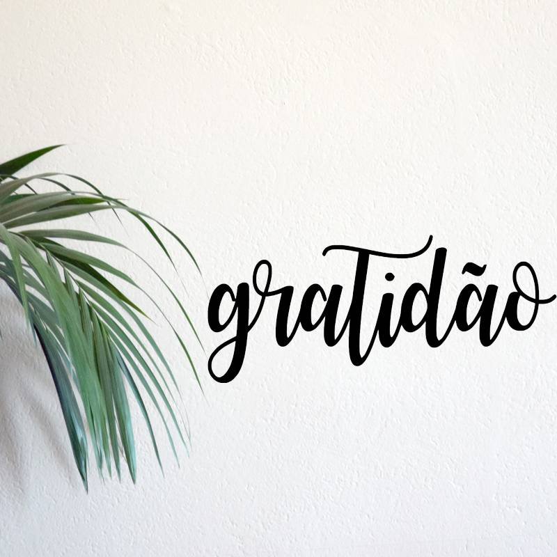 Cultivando a Gratidão em um Mundo conturbado
